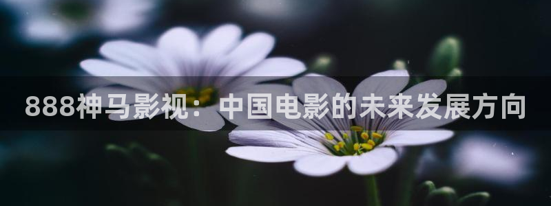 人人影院电视剧