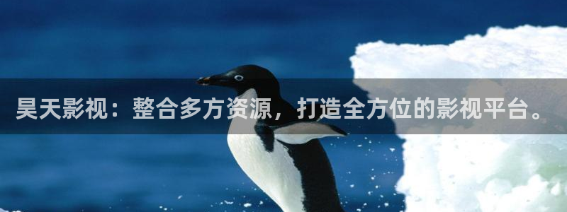 人人人人影院