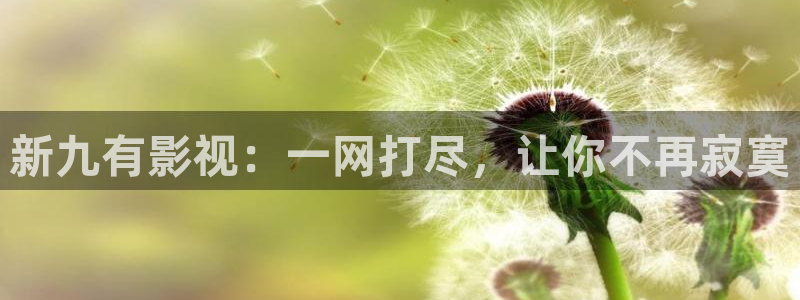 人人影院dvd