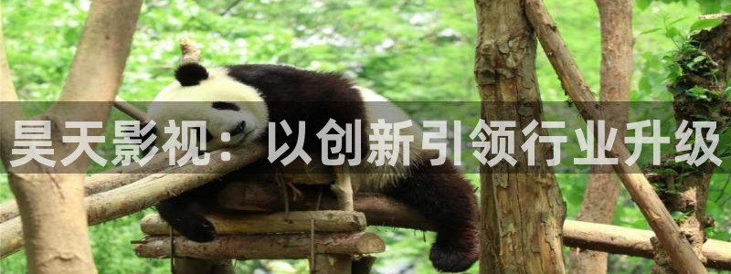 人人影院影院