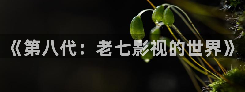 人人影巴