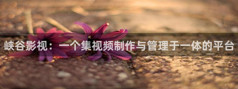 新闻图片