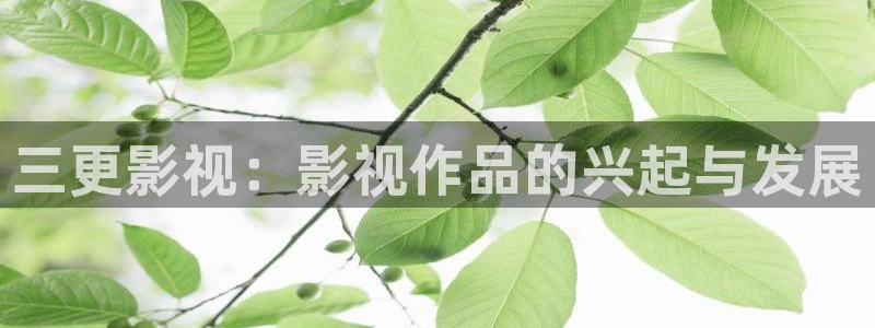 人人影院艳史