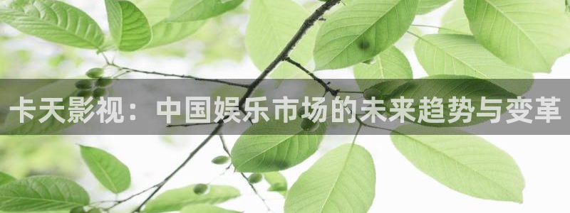 人人影院官网