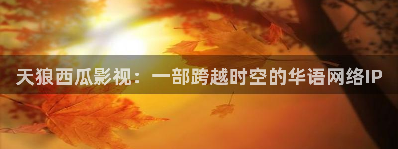 私人人影院