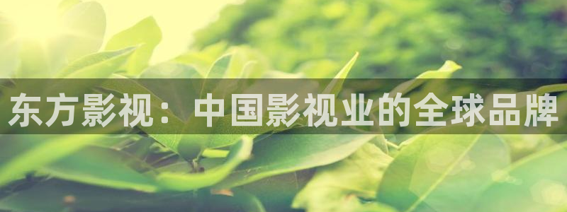 人人影院电视剧