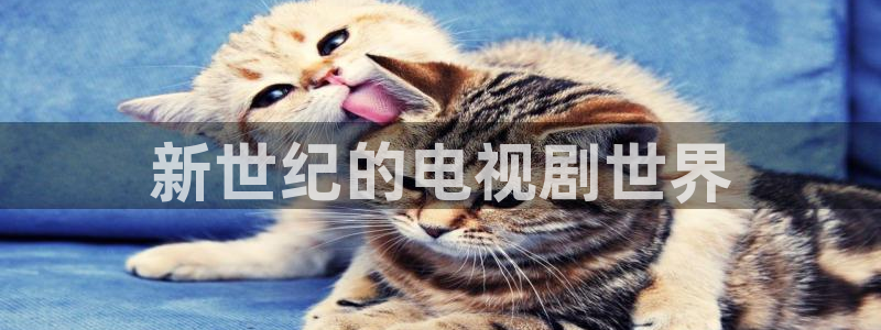 心有千千结电视剧全集人人影院
